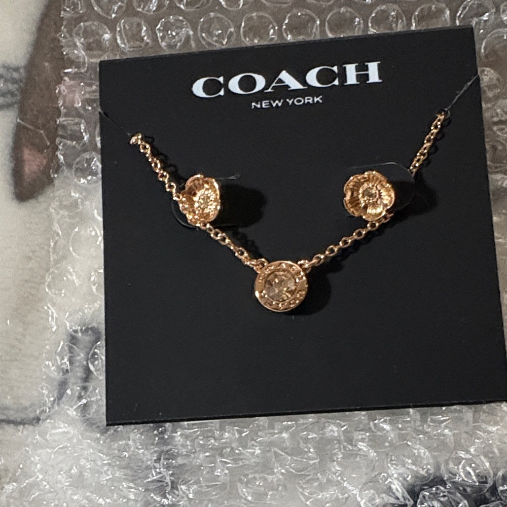 Coach Gold Necklace and Earring Set